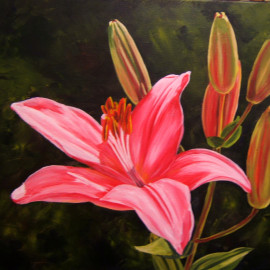 Milla’s Lily