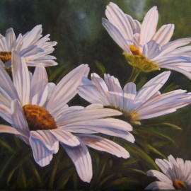 Daisies 3