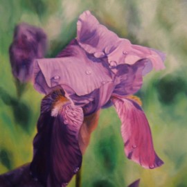 Iris After the Rain (2)