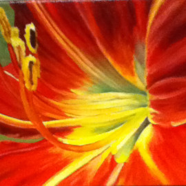 Lily (1)