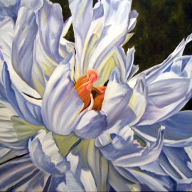 Peony (2)