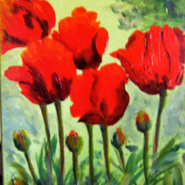 Poppies in my Garden