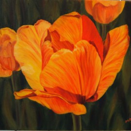 Yellow Tulip